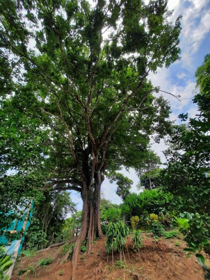 Eco-Turismo Guayacanes ซามารา ภายนอก รูปภาพ
